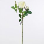 Ruža kus maslová 65cm 1101380MAS