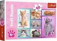 Trefl Puzzle 60 - Roztomilé mačky / Trefl 17373