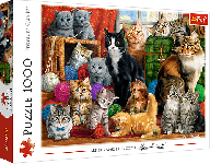 Trefl Trefl Puzzle 1000 - Stretnutie mačiek 10555
