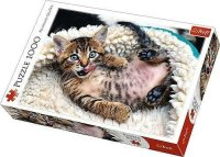 Trefl_vypredaj Puzzle Trefl Cheerful kitten 10448