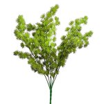 Zápich asparagus umbellatus 36cm 220633