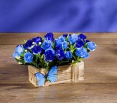 Magnet 3Pagen Kvetináč s modrými ružami