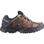 Salomon XT RECKON GTX W Dámska trailová obuv, hnedá, veľkosť 38 2/3