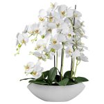 Umelá Rastlina Orchidea, V: 63cm